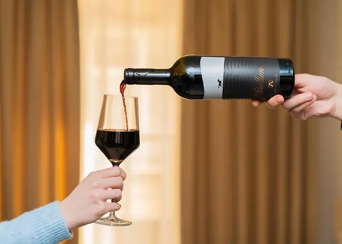 Πανσιόν Velik