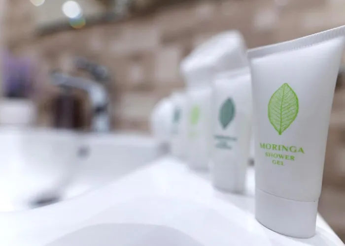 Velik Πανσιόν Σαντάνσκι